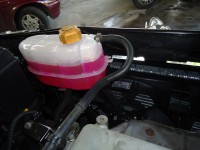 /album/galeria-de-fotos-/dsc00449-jpg/