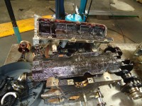 /album/galeria-de-fotos-/dsc00496-jpg/